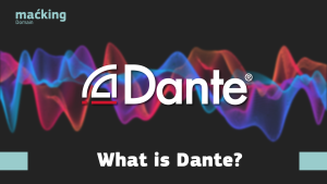 Read more about the article What is Dante?